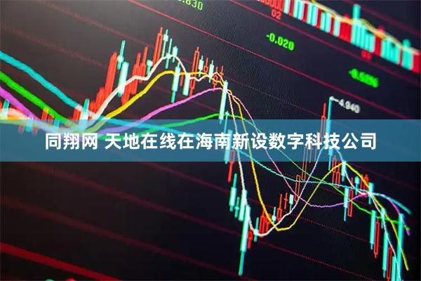 同翔网 天地在线在海南新设数字科技公司