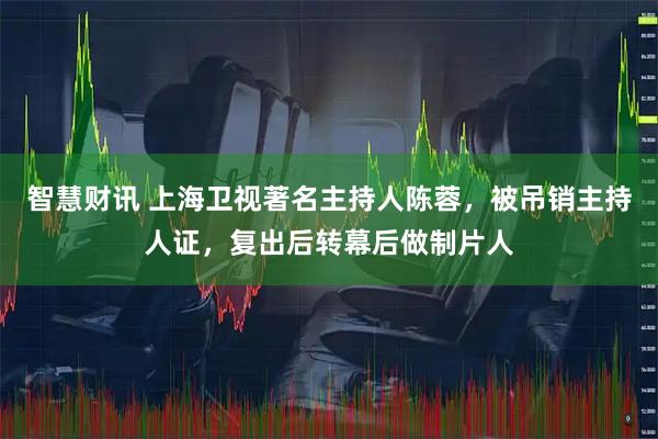 智慧财讯 上海卫视著名主持人陈蓉，被吊销主持人证，复出后转幕后做制片人