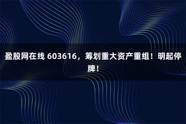 盈股网在线 603616，筹划重大资产重组！明起停牌！